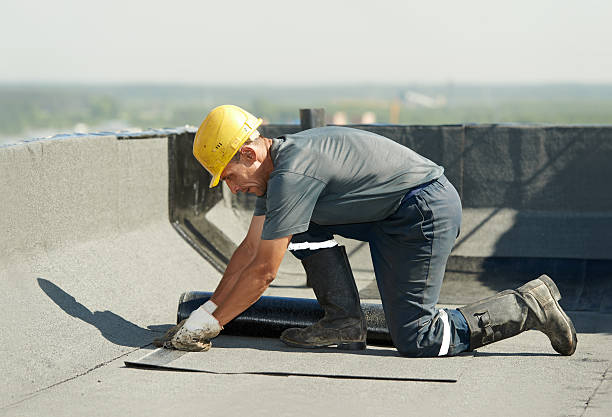 Best Geographic-Specific Insulation Services in Lordsburg, NM